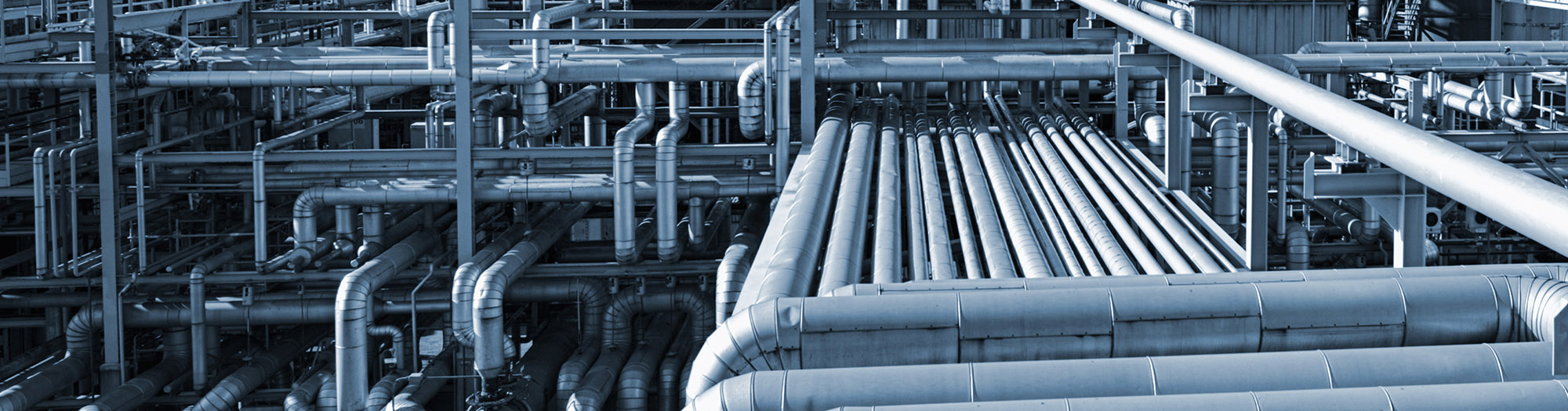 Slide trang chủ tiếng Việt