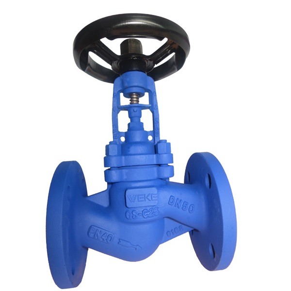 Bellows seal globe valve WEKE0