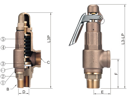 Bronze safety valve0