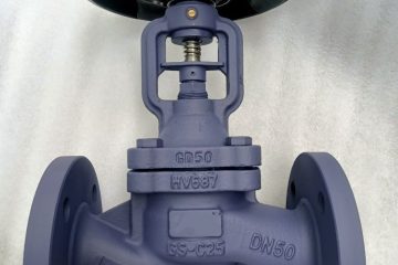 Các loại van hơi công nghiệp cho hơi nóng