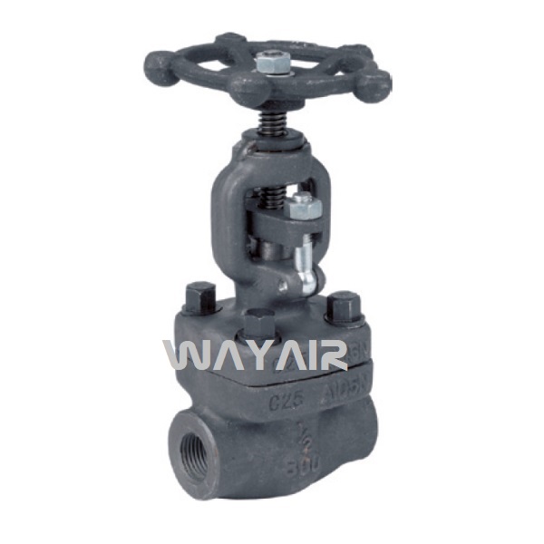 Forged steel globe valve Class 8000