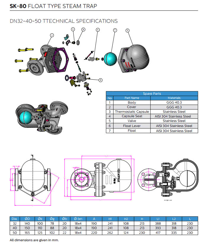 catalog Bẫy hơi dạng phao Ayvaz SK-80 DN32 DN40 DN50